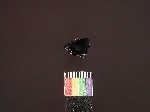 L_V19d8273 J1q792.1 Ux09 dM la f226 obsidian